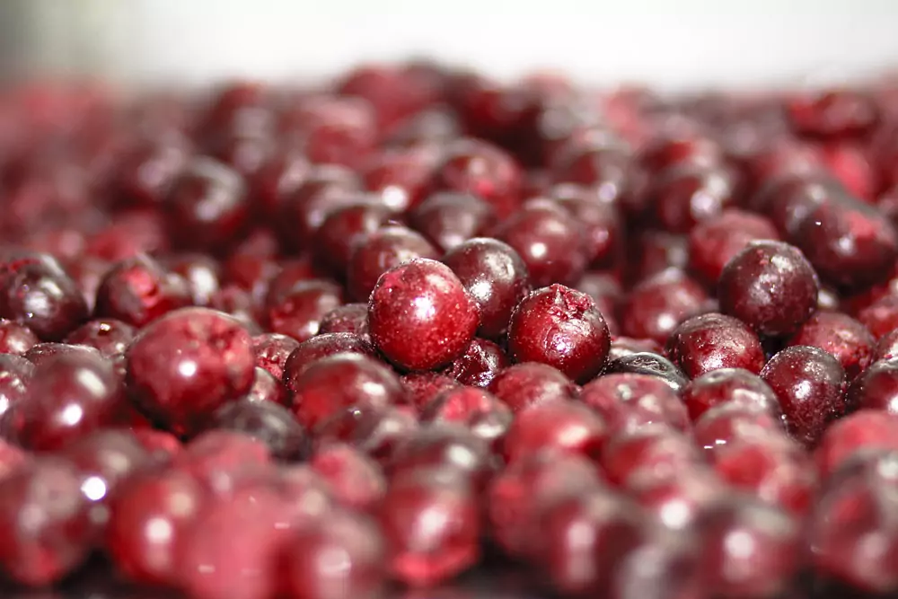 Novaberry - Coldstore - IQF Frozen Fruits - Cherry