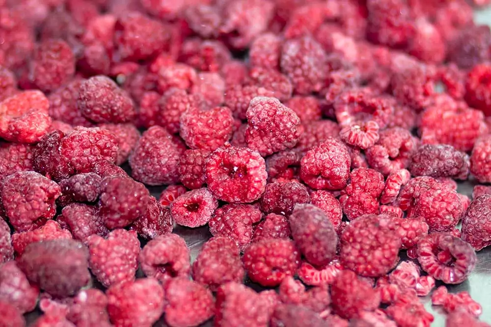 Novaberry - Coldstore - IQF Frozen Fruits - Raspberry