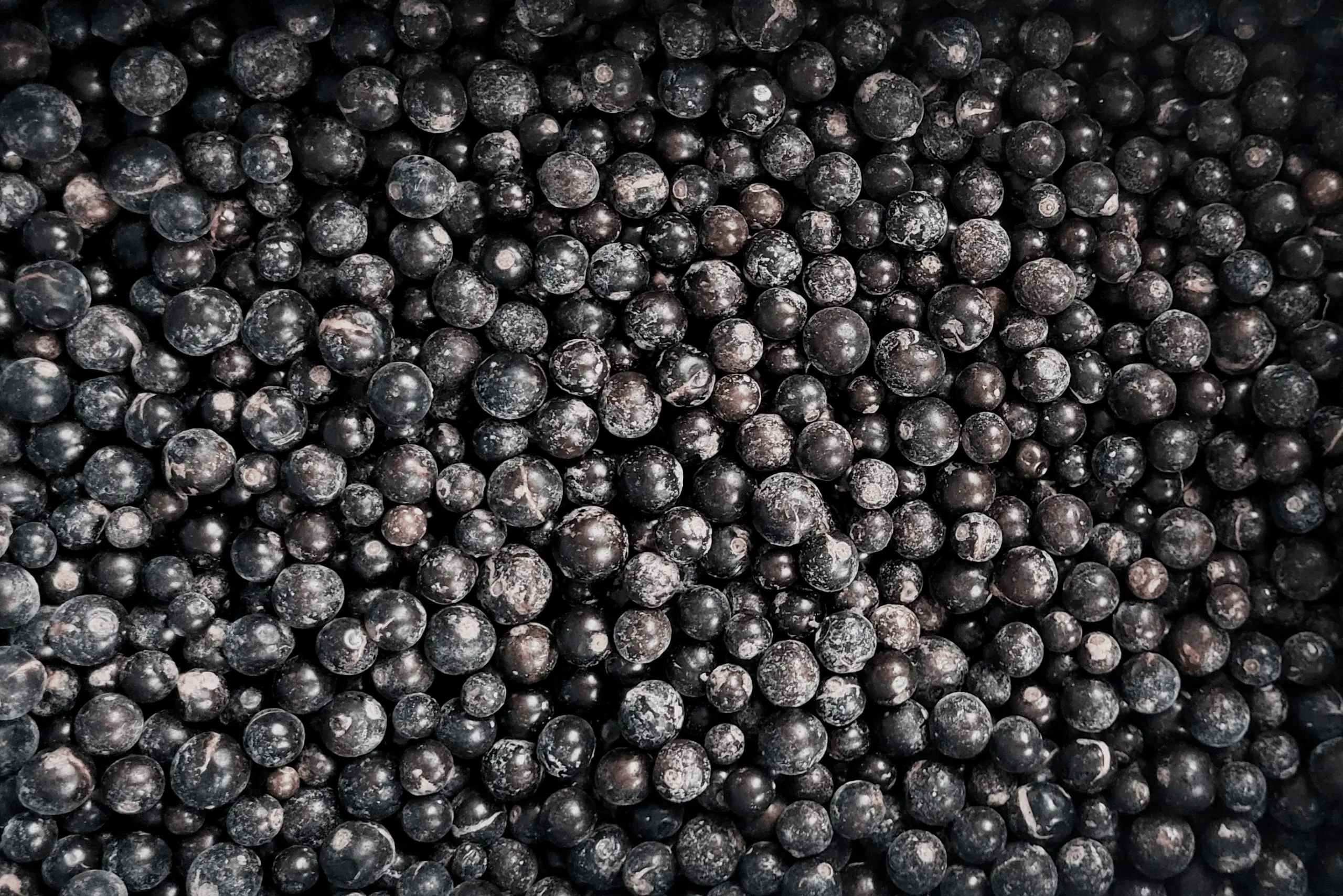 Novaberry - Coldstore - IQF Frozen Fruits - Blackcurrant